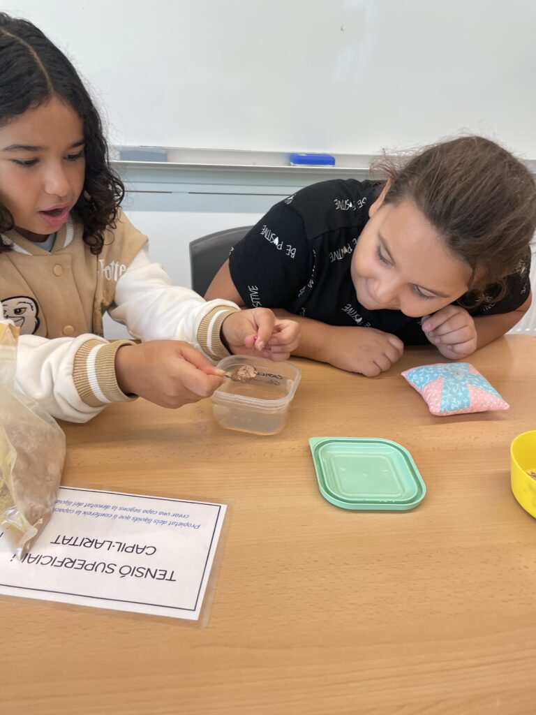 STEAM 3r capil·laritat