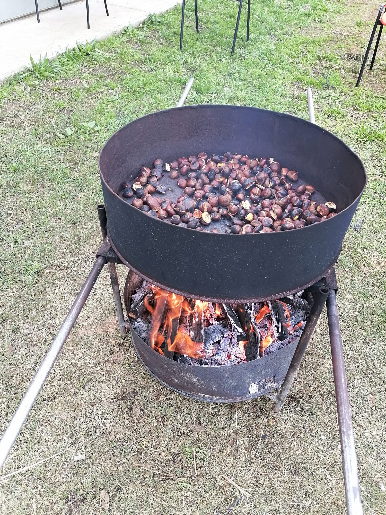 WhatsApp Image 2021-11-08 at 08.08.23