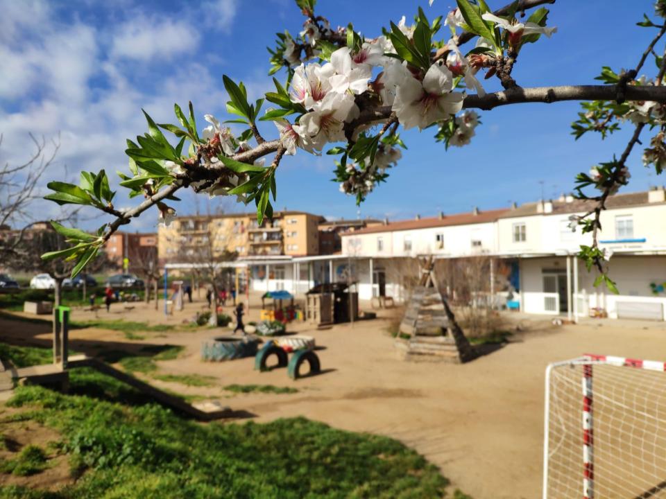 Untitled presentation (2)