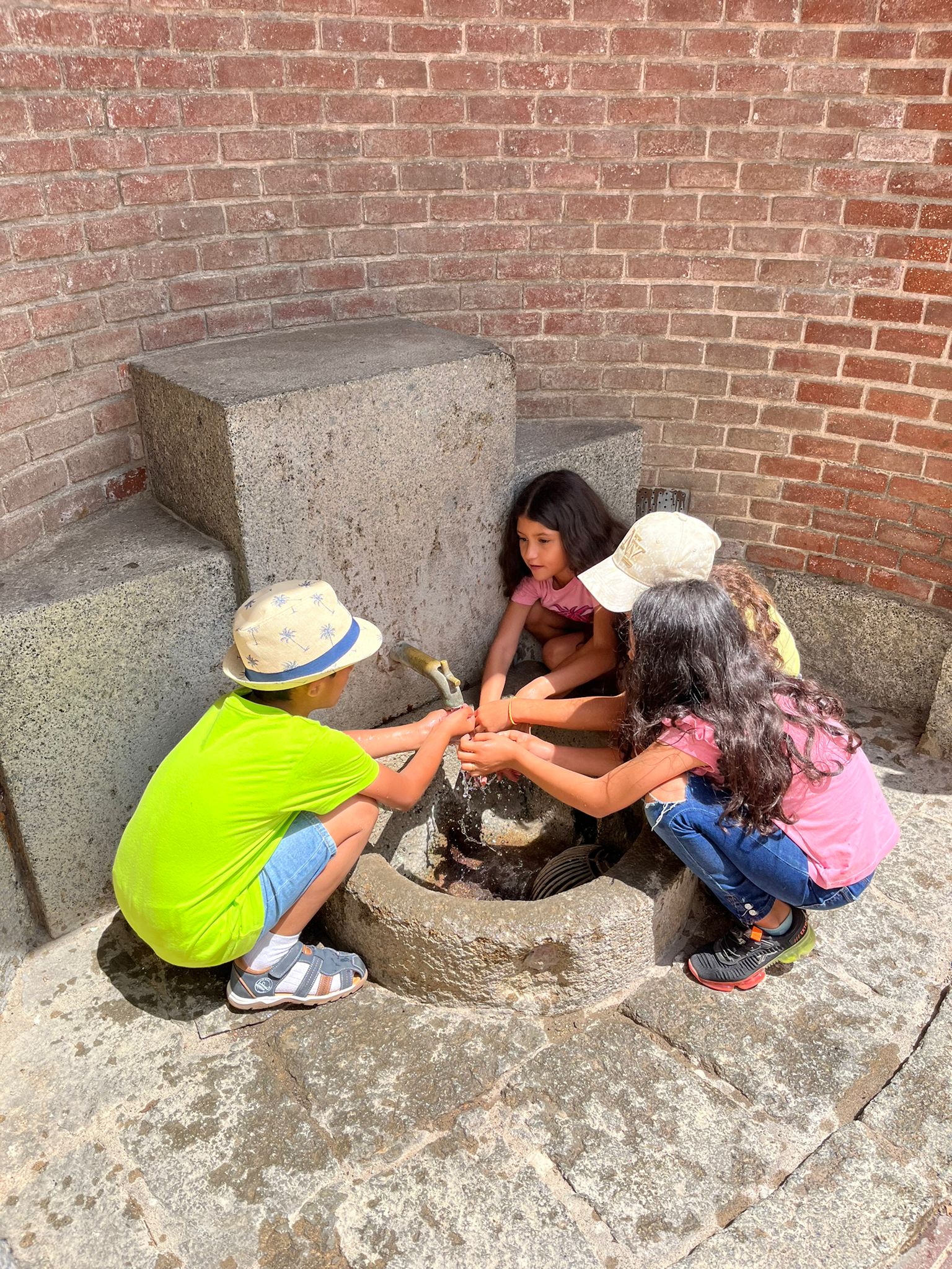 Imatge de WhatsApp 2024-05-30 a les 12.59.14_39ac2dfc