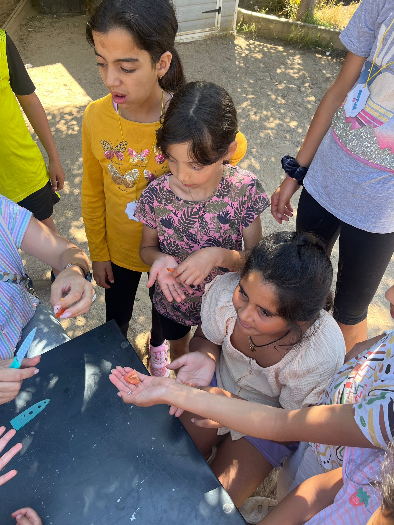 Imatge de WhatsApp 2024-06-05 a les 15.03.55_c2f62d38