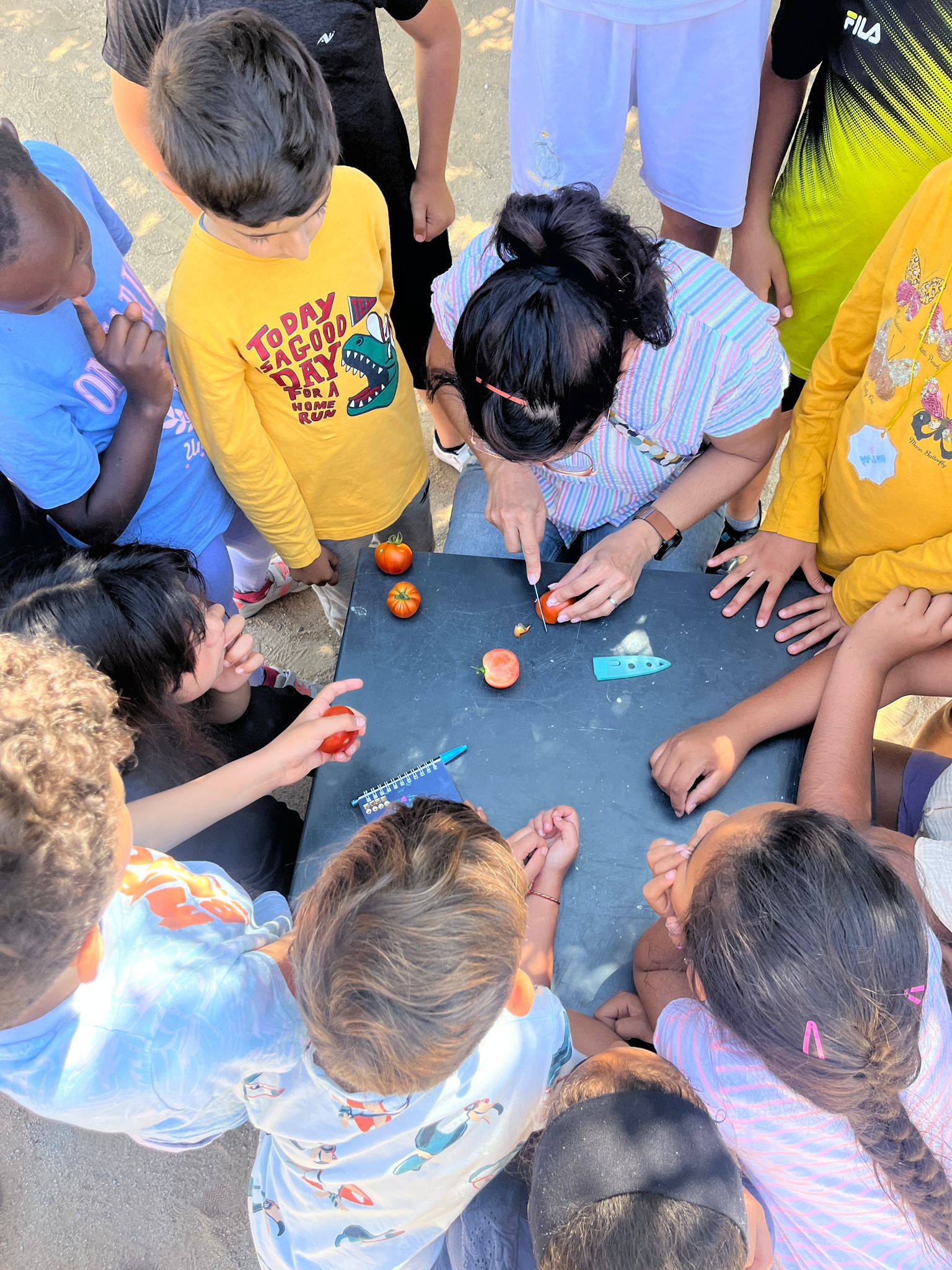 Imatge de WhatsApp 2024-06-05 a les 15.03.56_6e162ca6