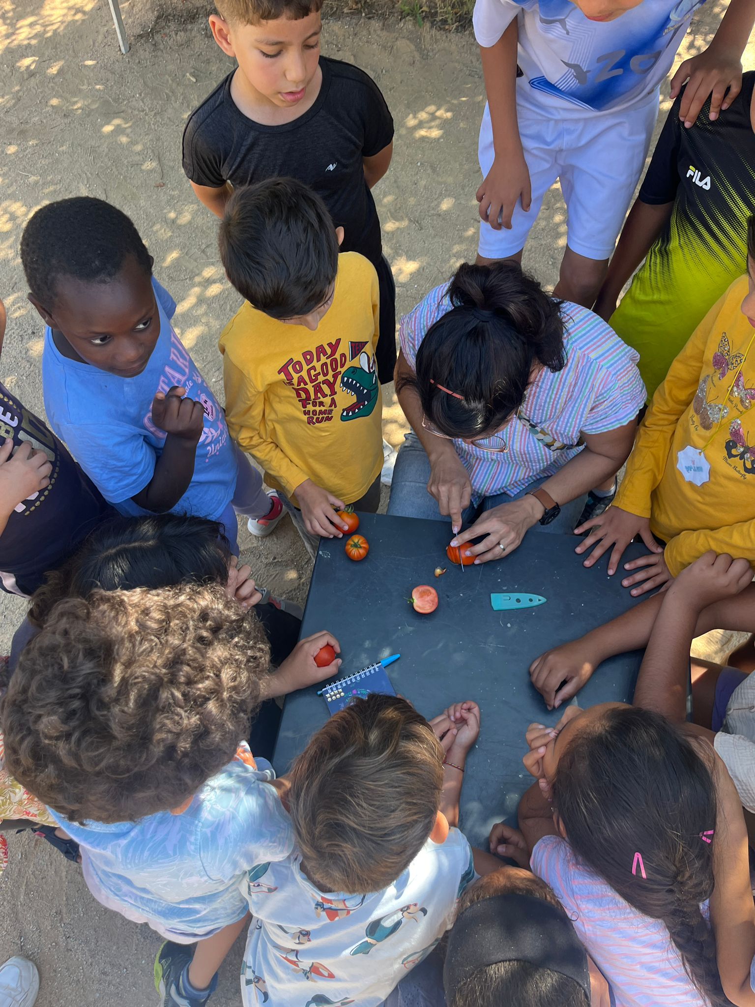 Imatge de WhatsApp 2024-06-05 a les 15.03.56_7a7e4bf9