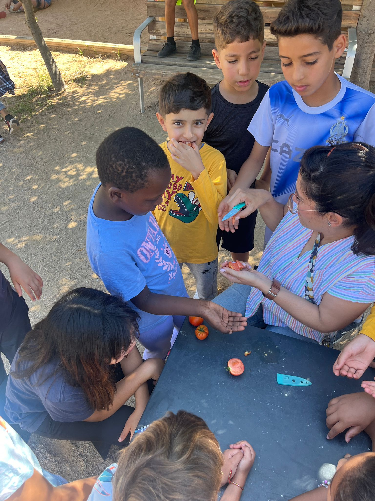 Imatge de WhatsApp 2024-06-05 a les 15.03.56_94a73196