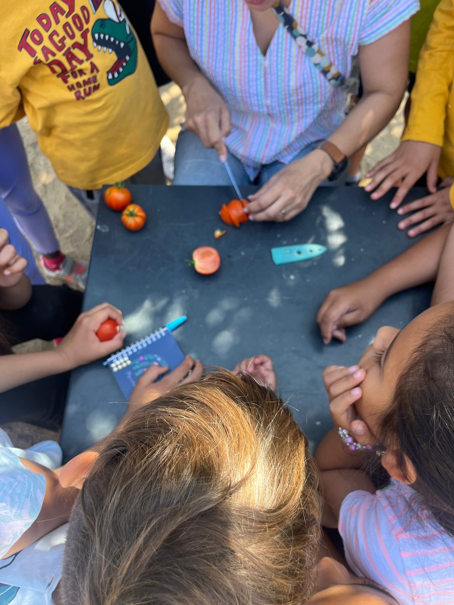 Imatge de WhatsApp 2024-06-05 a les 15.03.56_b1dc6df1