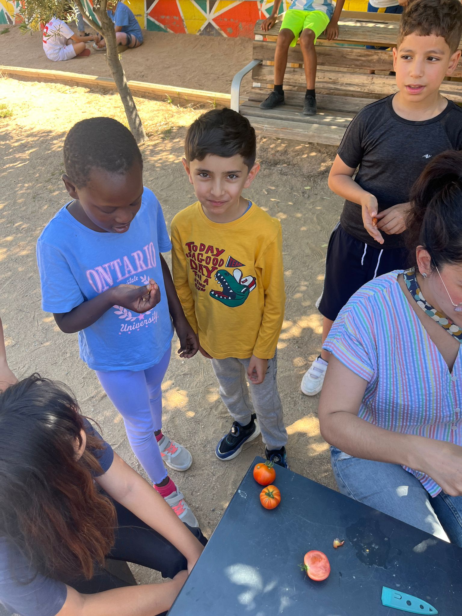 Imatge de WhatsApp 2024-06-05 a les 15.03.56_c7e575b4