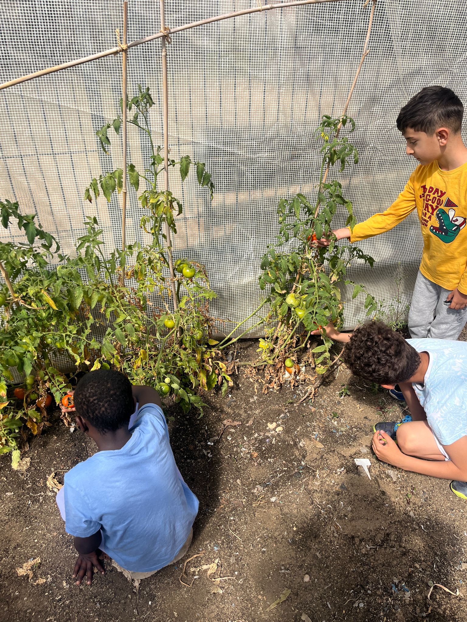 Imatge de WhatsApp 2024-06-05 a les 15.03.57_297a4d57