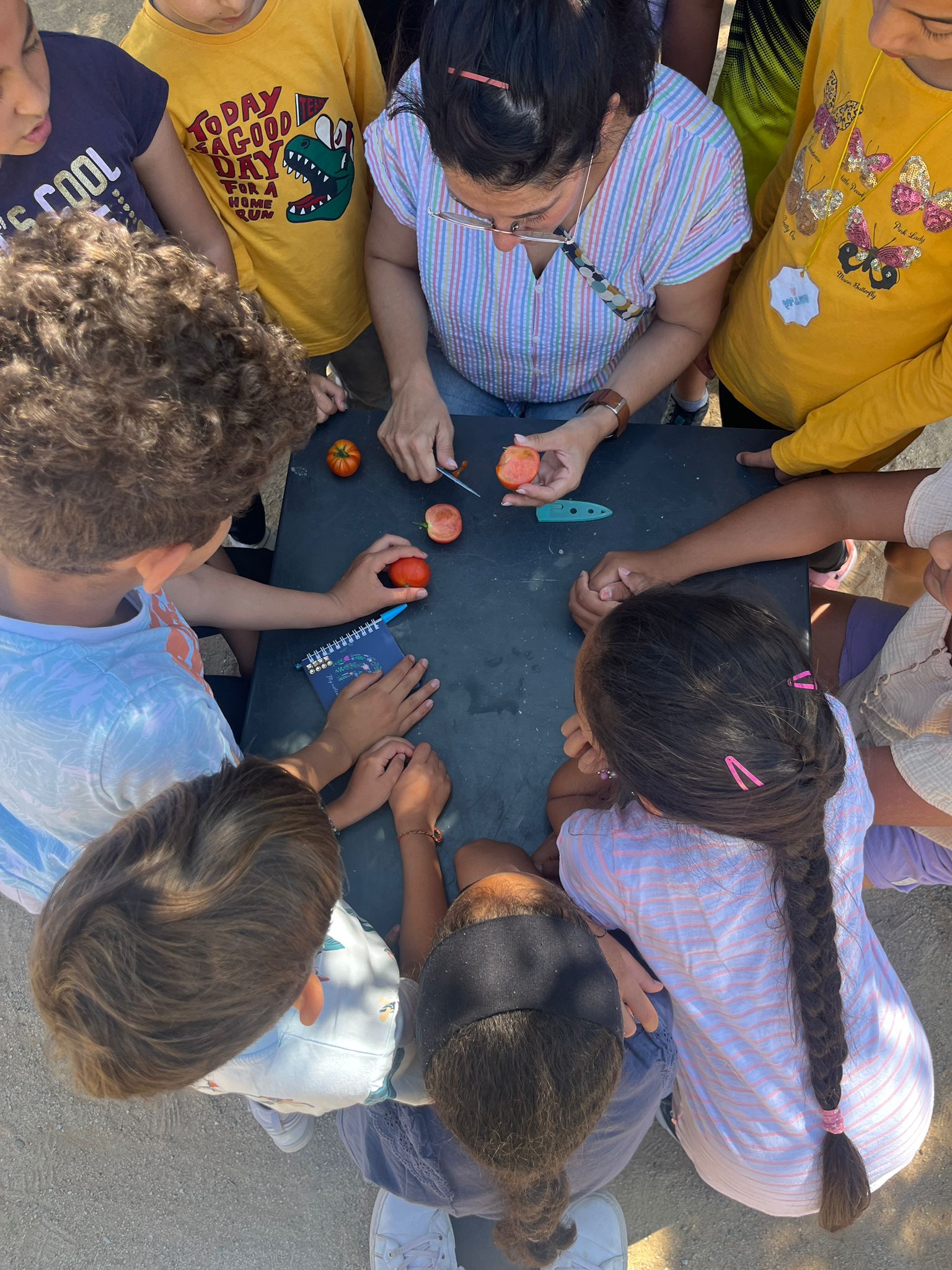 Imatge de WhatsApp 2024-06-05 a les 15.03.57_2d81bc9c