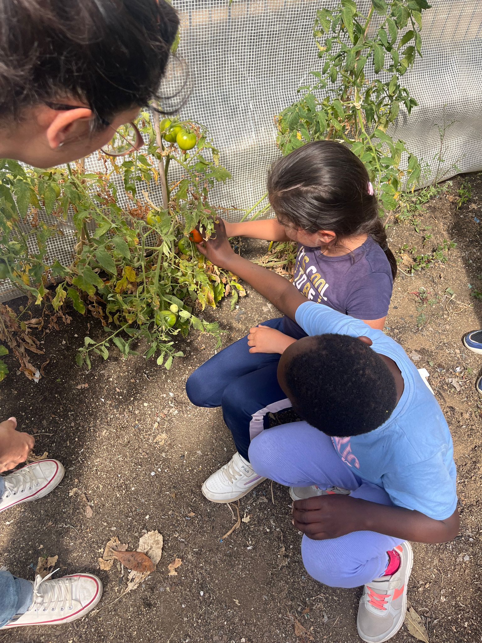 Imatge de WhatsApp 2024-06-05 a les 15.03.57_70a94c15