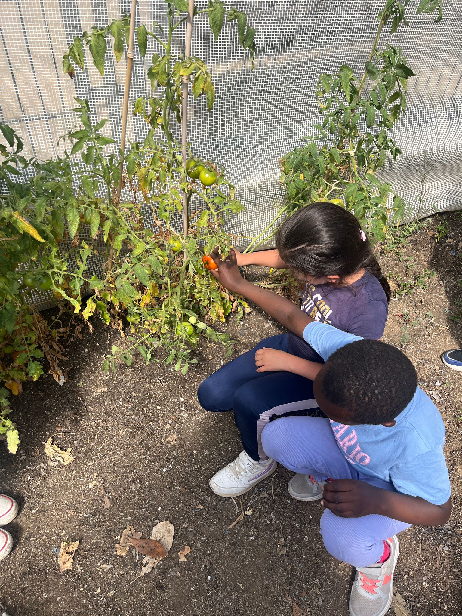 Imatge de WhatsApp 2024-06-05 a les 15.03.57_d9e28f0c