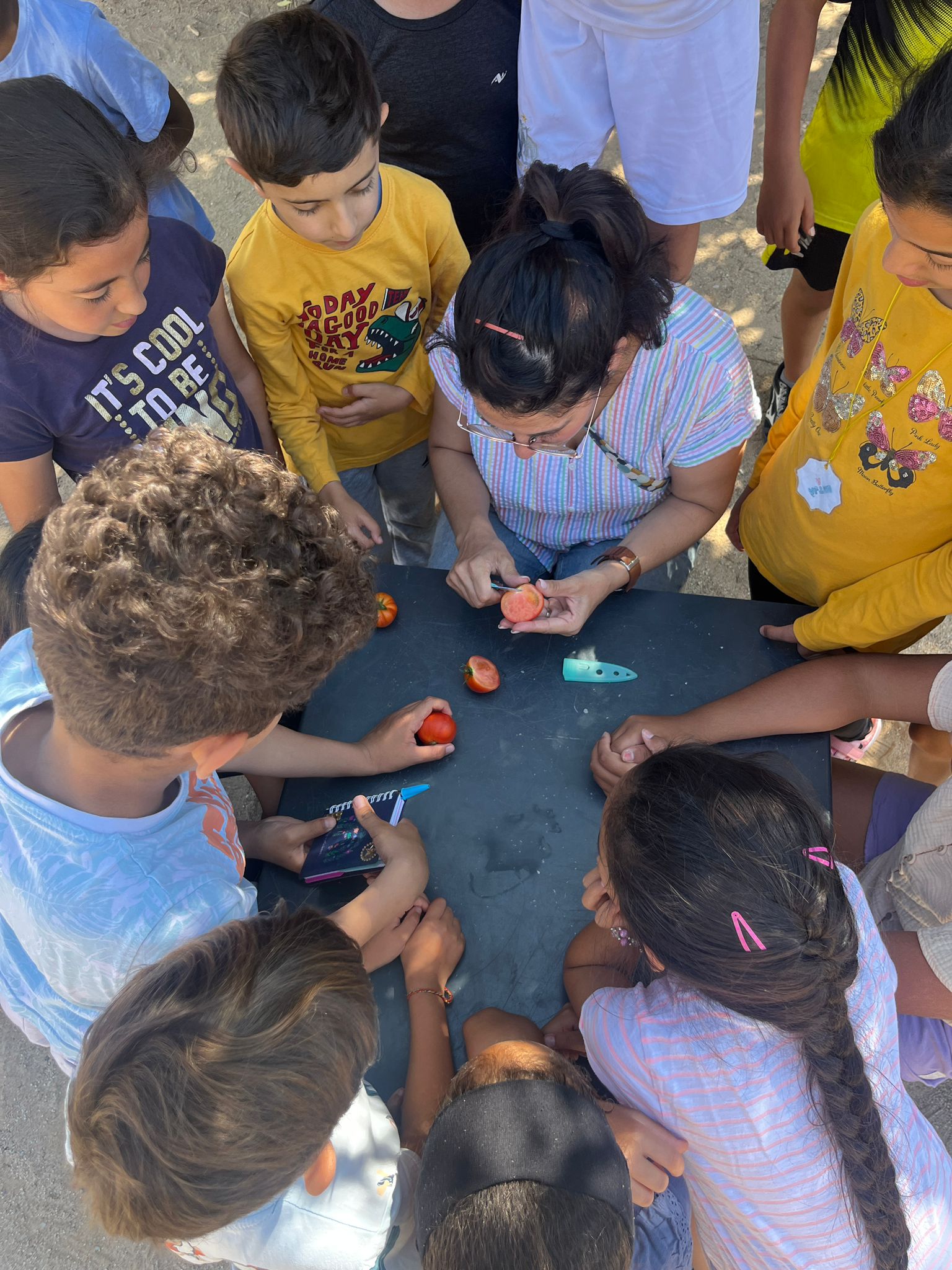 Imatge de WhatsApp 2024-06-05 a les 15.03.57_ece9eec6