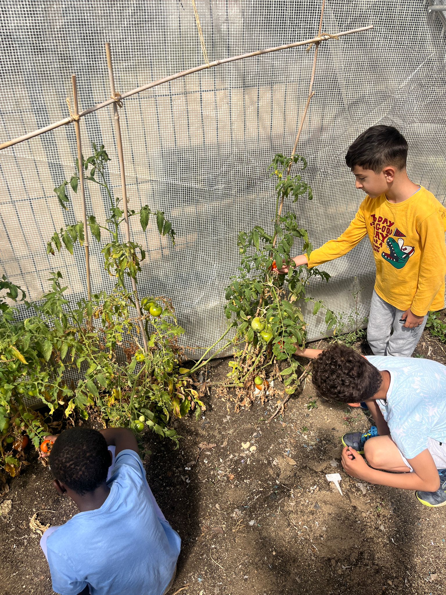 Imatge de WhatsApp 2024-06-05 a les 15.03.58_266e347d