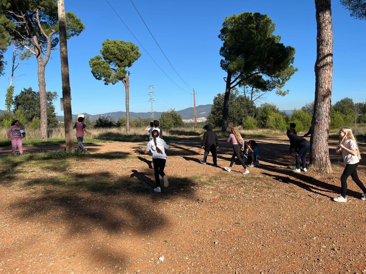 photo_2024-12-02_13-42-25