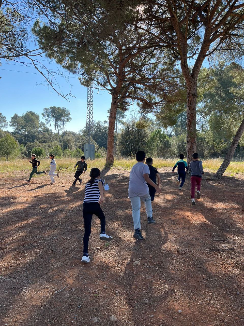 photo_2024-12-02_13-42-26