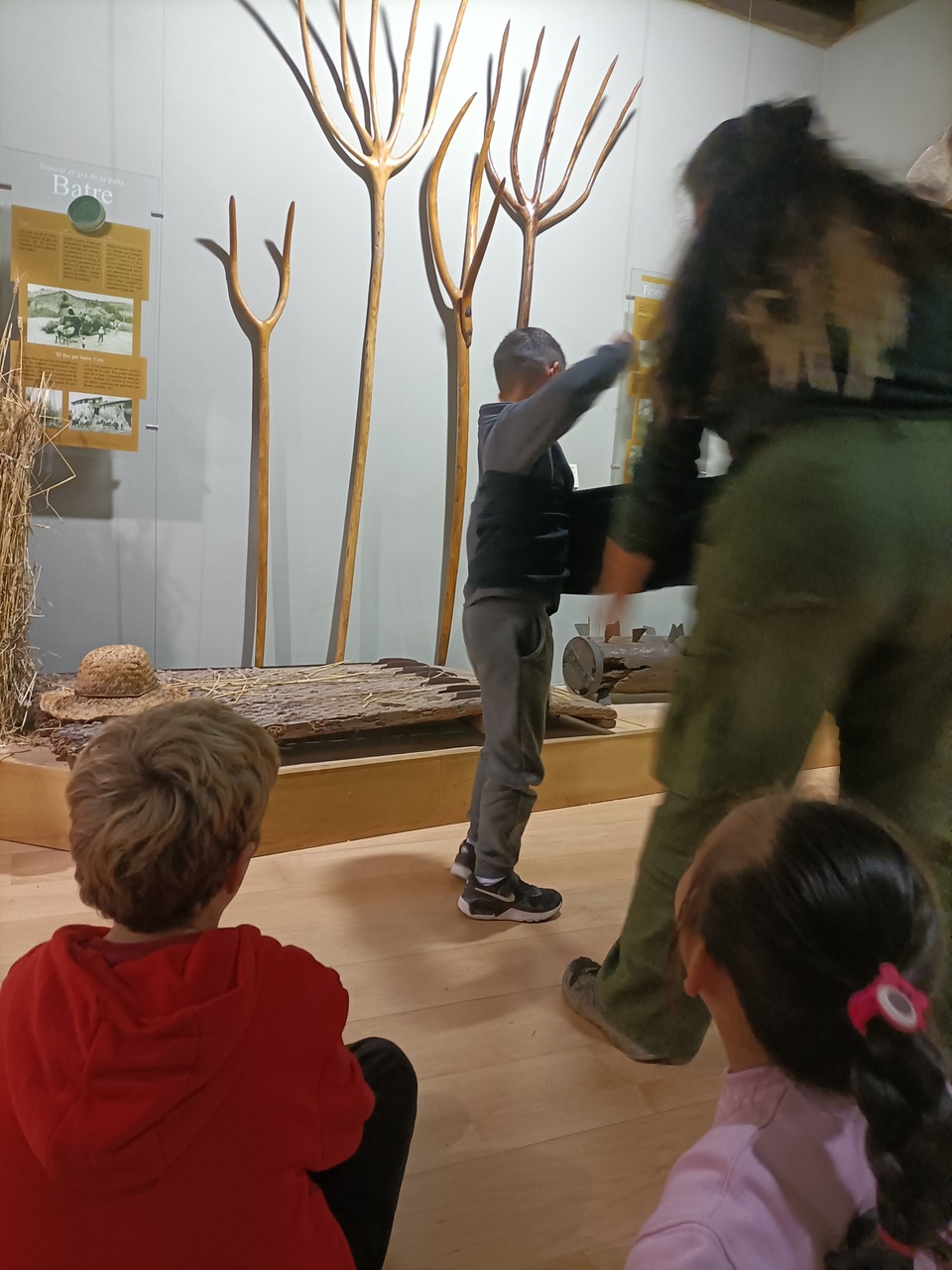 IMG20241211110314_Easy-Resize.com