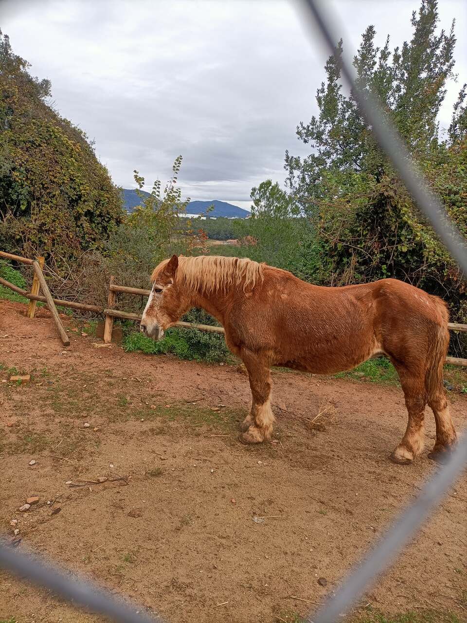 IMG20241211124555_Easy-Resize.com