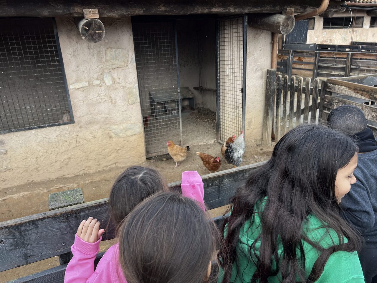 IMG_3408_Easy-Resize.com