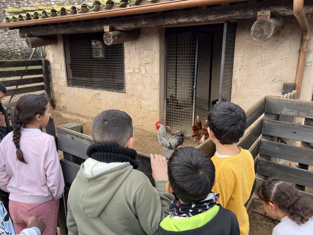 IMG_3409_Easy-Resize.com