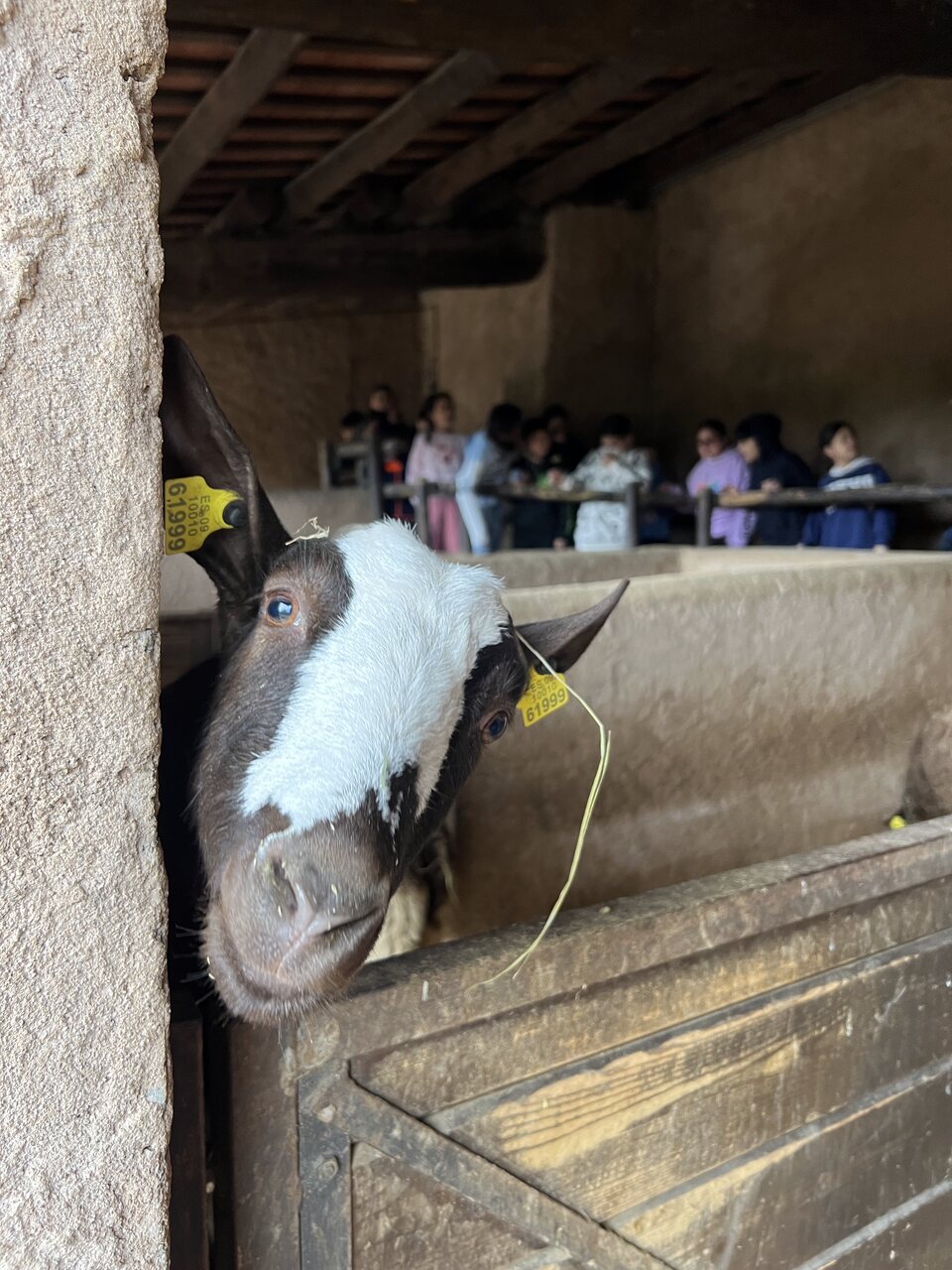 IMG_3415_Easy-Resize.com