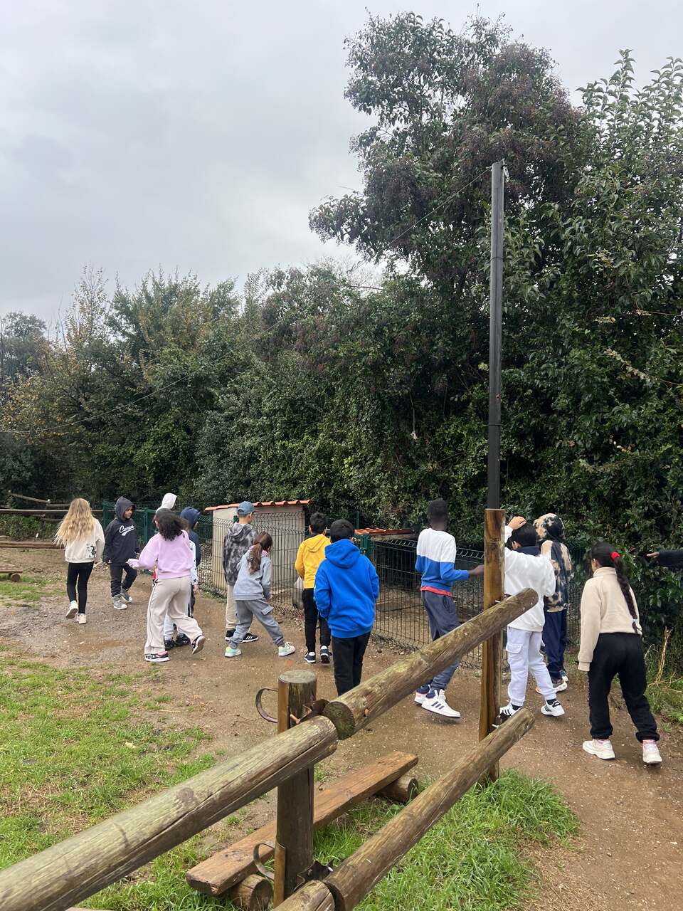 IMG_8383_Easy-Resize.com