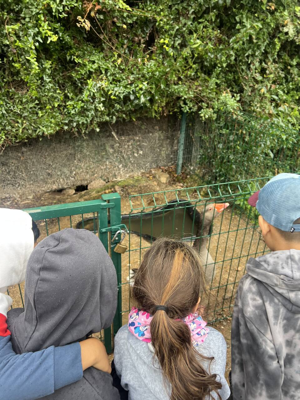 IMG_8389_Easy-Resize.com