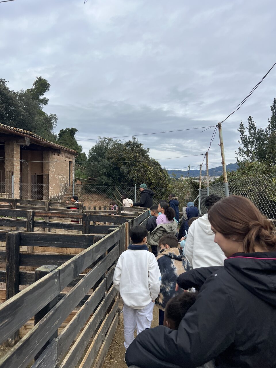 IMG_8429_Easy-Resize.com