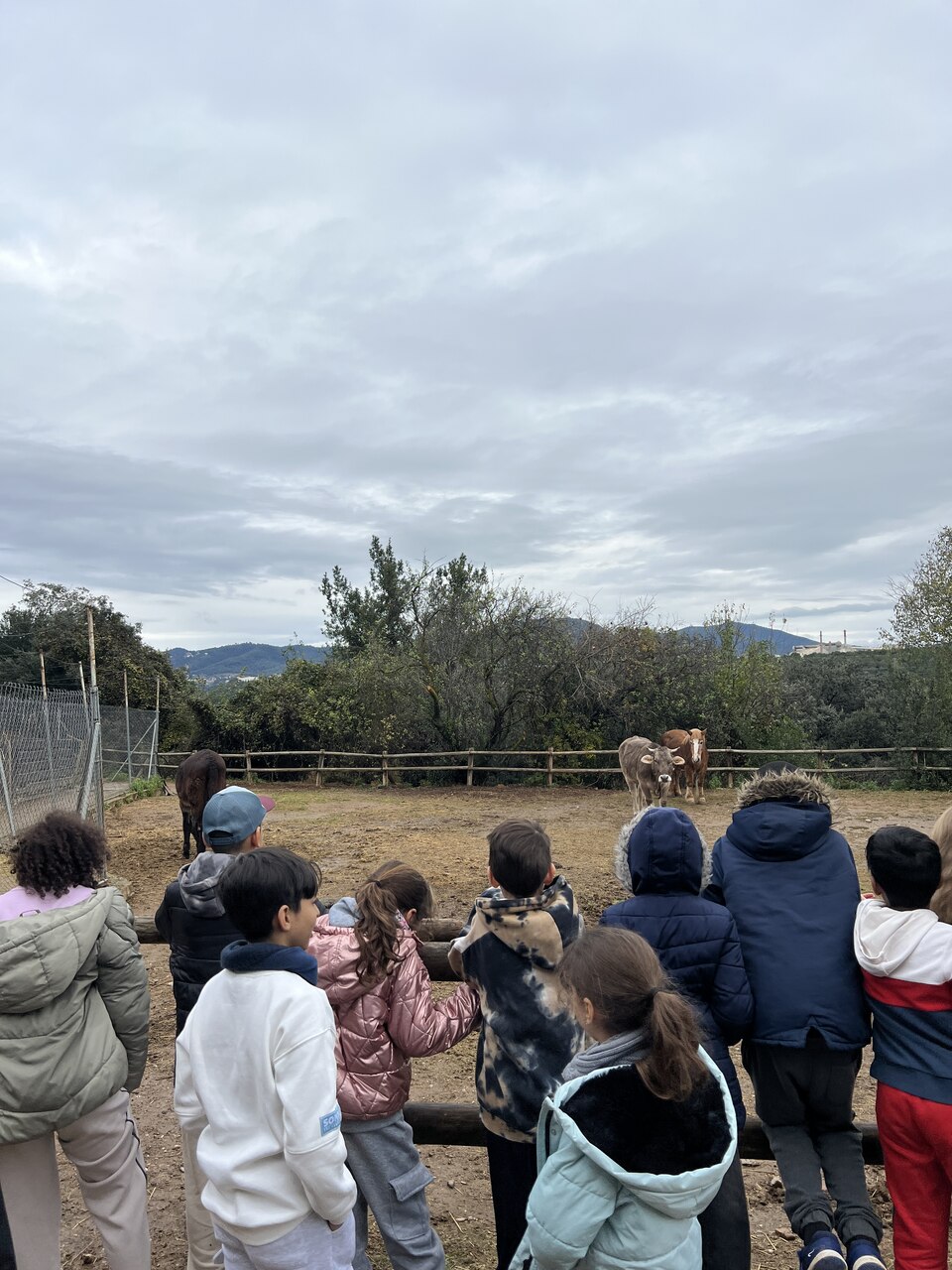 IMG_8434_Easy-Resize.com