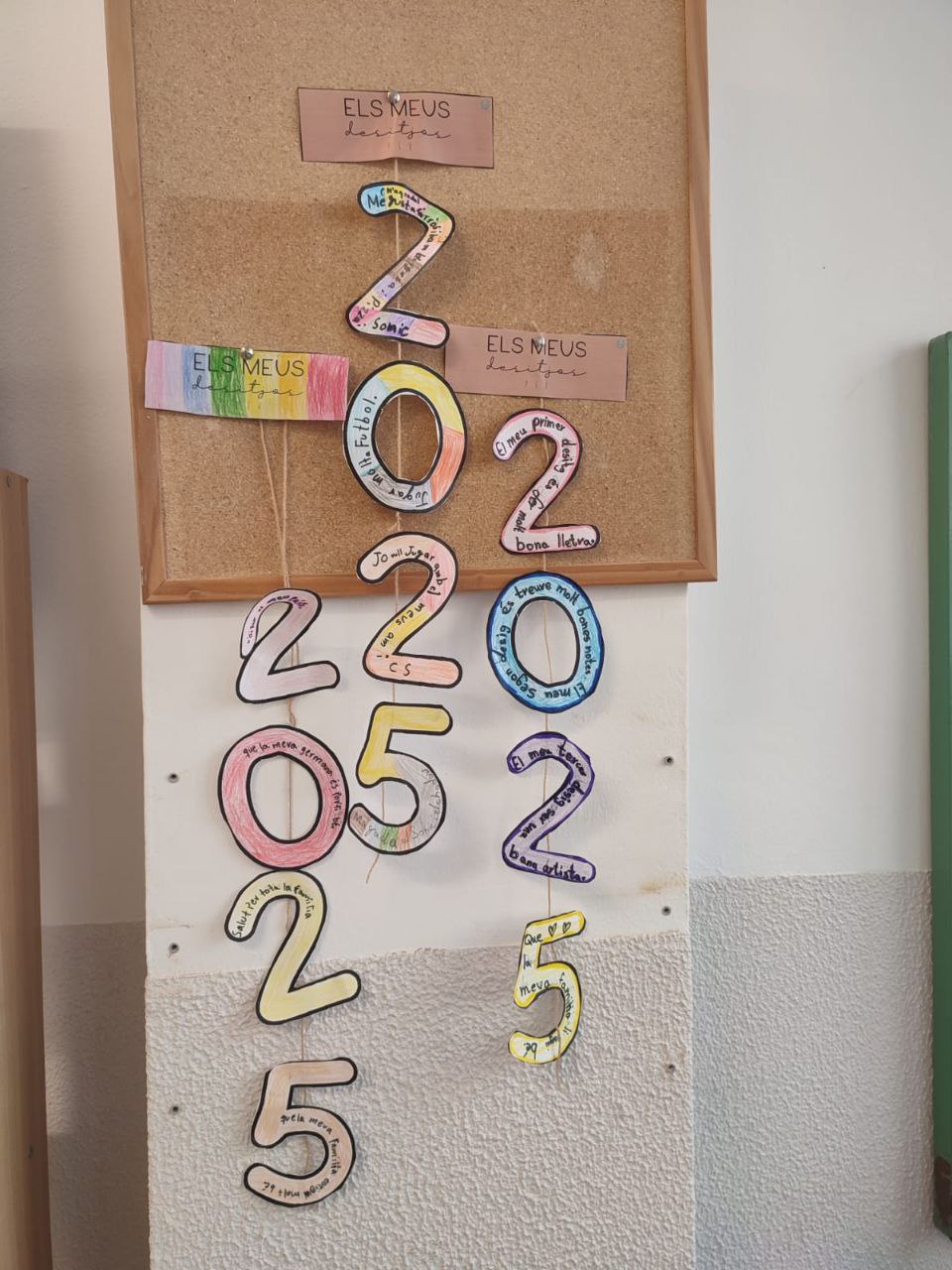 photo_2025-01-29_11-48-56