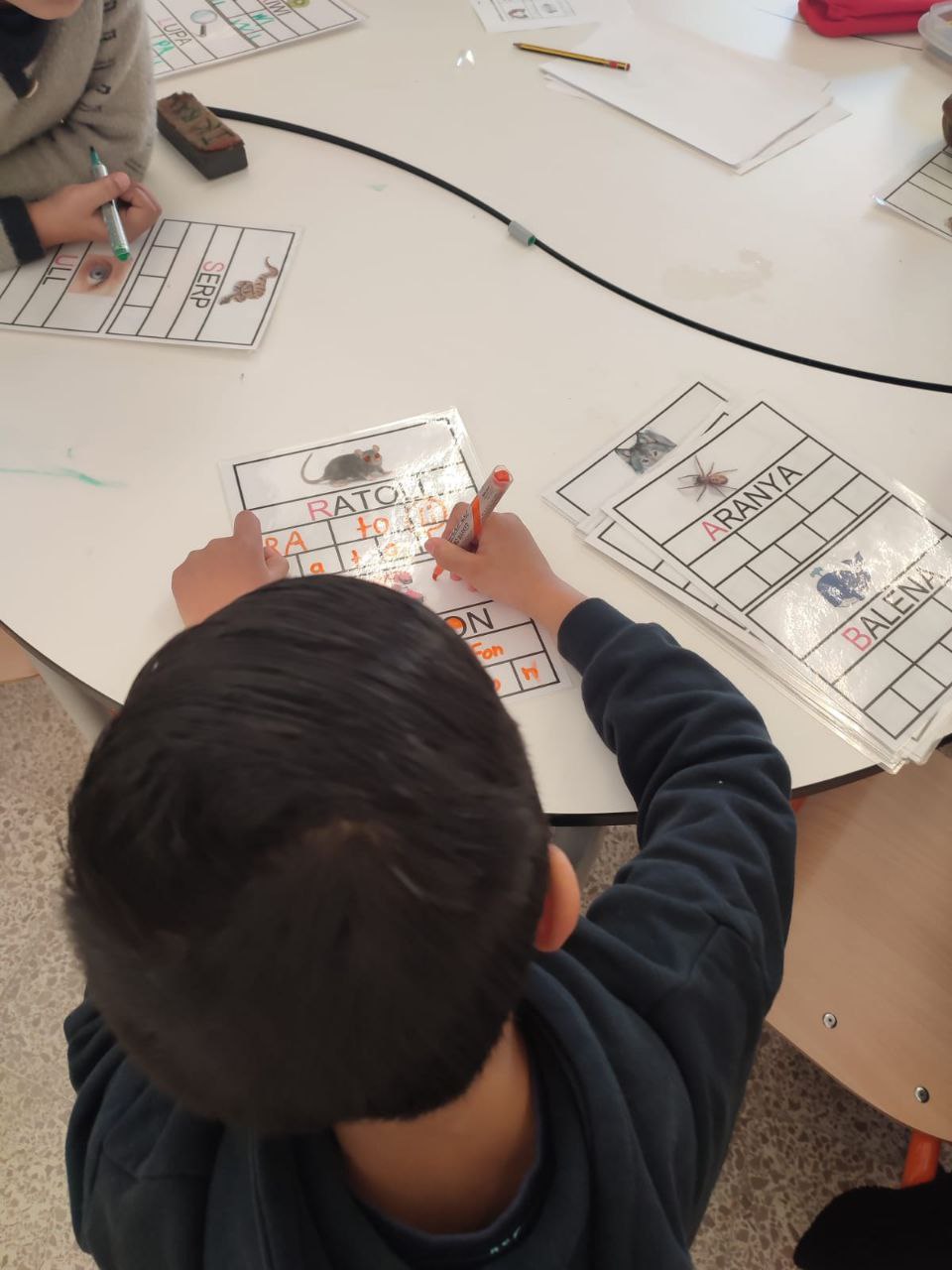 photo_2025-01-29_11-48-57