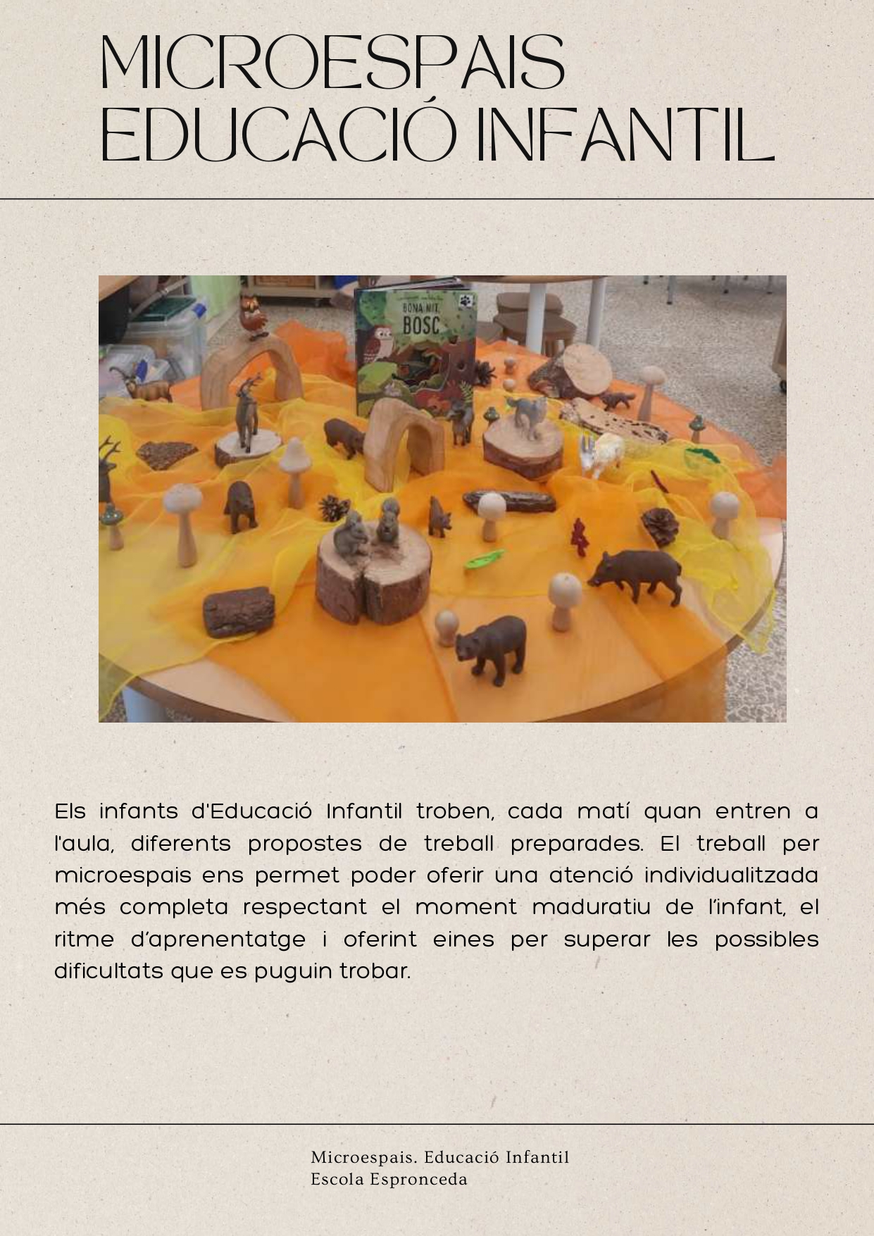 MICROESPAIS _compressed_page-0001