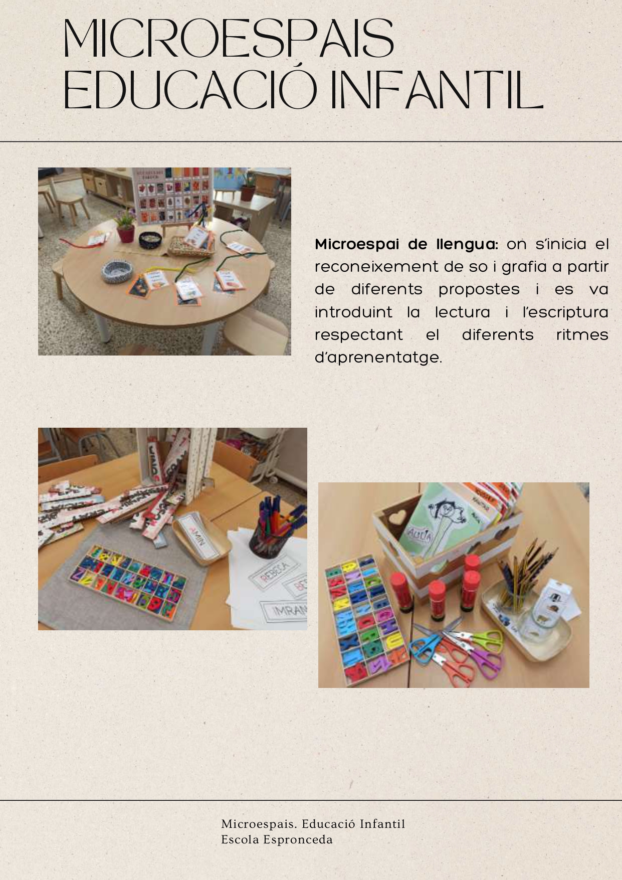 MICROESPAIS _compressed_page-0003