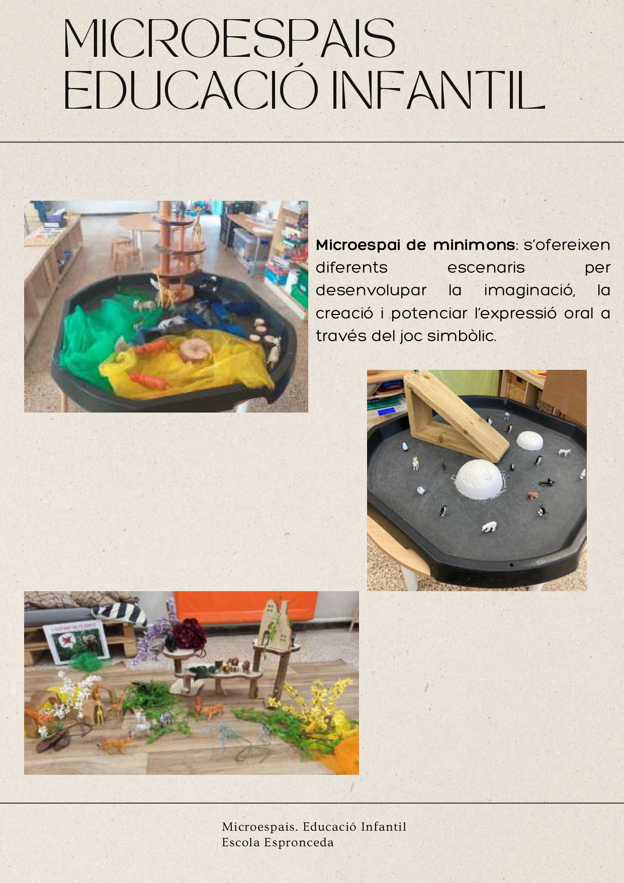 MICROESPAIS _compressed_page-0004