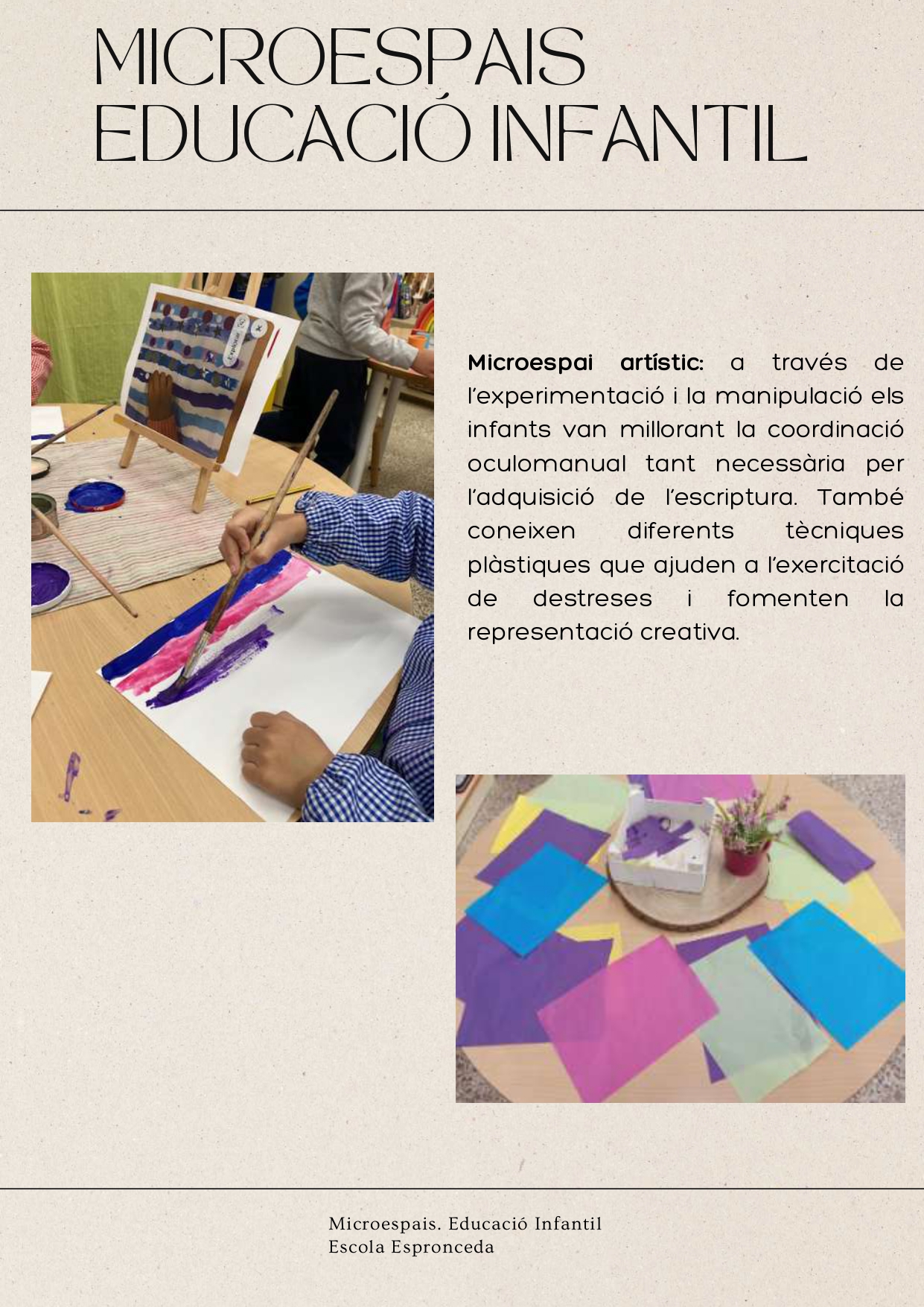 MICROESPAIS _compressed_page-0005