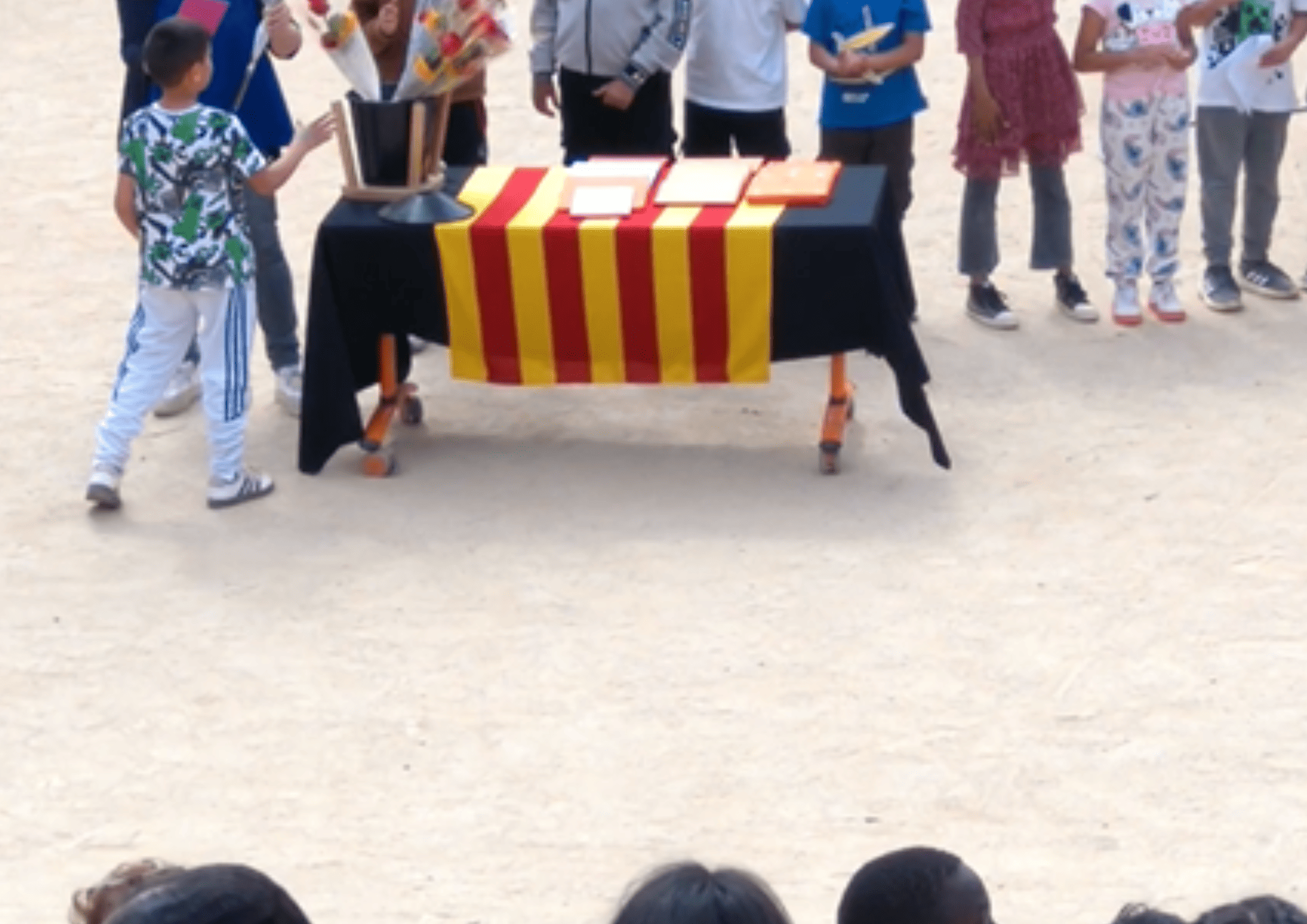 Disseny sense títol (2) (1)