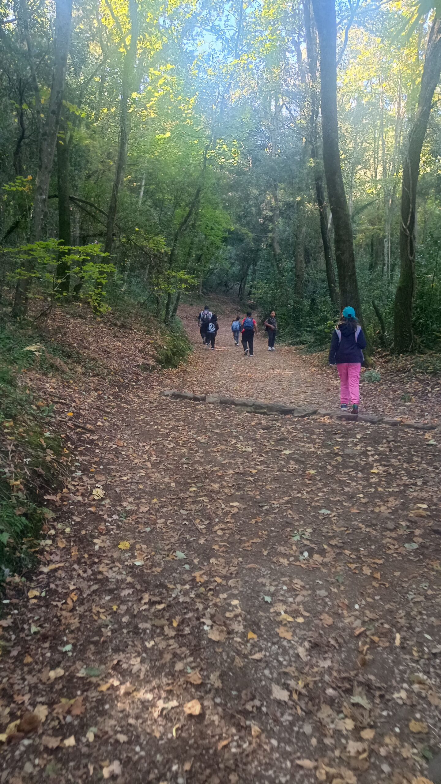 IMG_20251021_115807-min