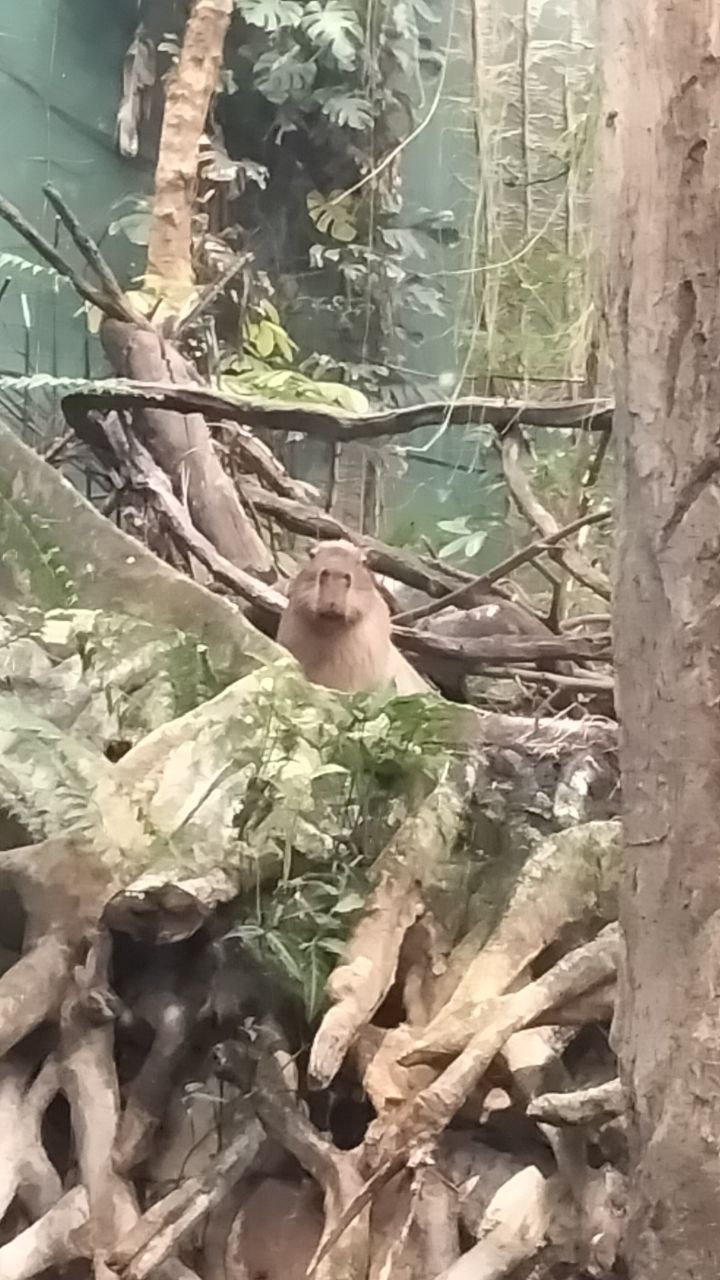 photo_2025-12-10_18-25-48