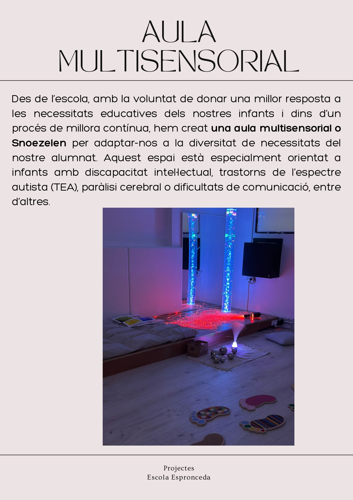 Article_web_aulaMultisensorial_page-0002