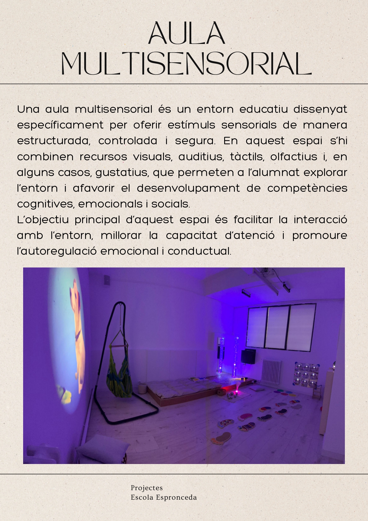 Article_web_aulaMultisensorial_page-0004