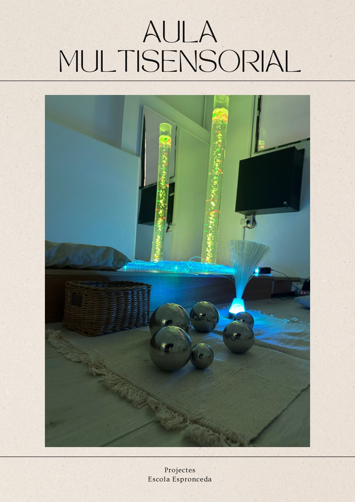 Article_web_aulaMultisensorial_page-0006