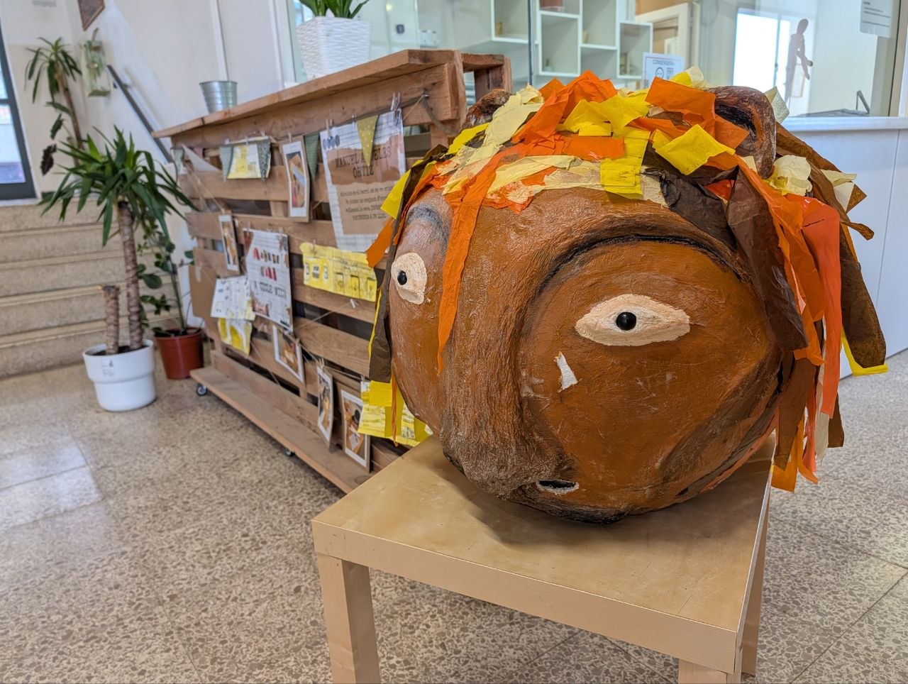 photo_2026-02-17_10-09-59