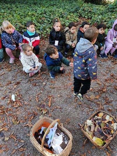 SORTIDA TARDOR P3A (10)_opt