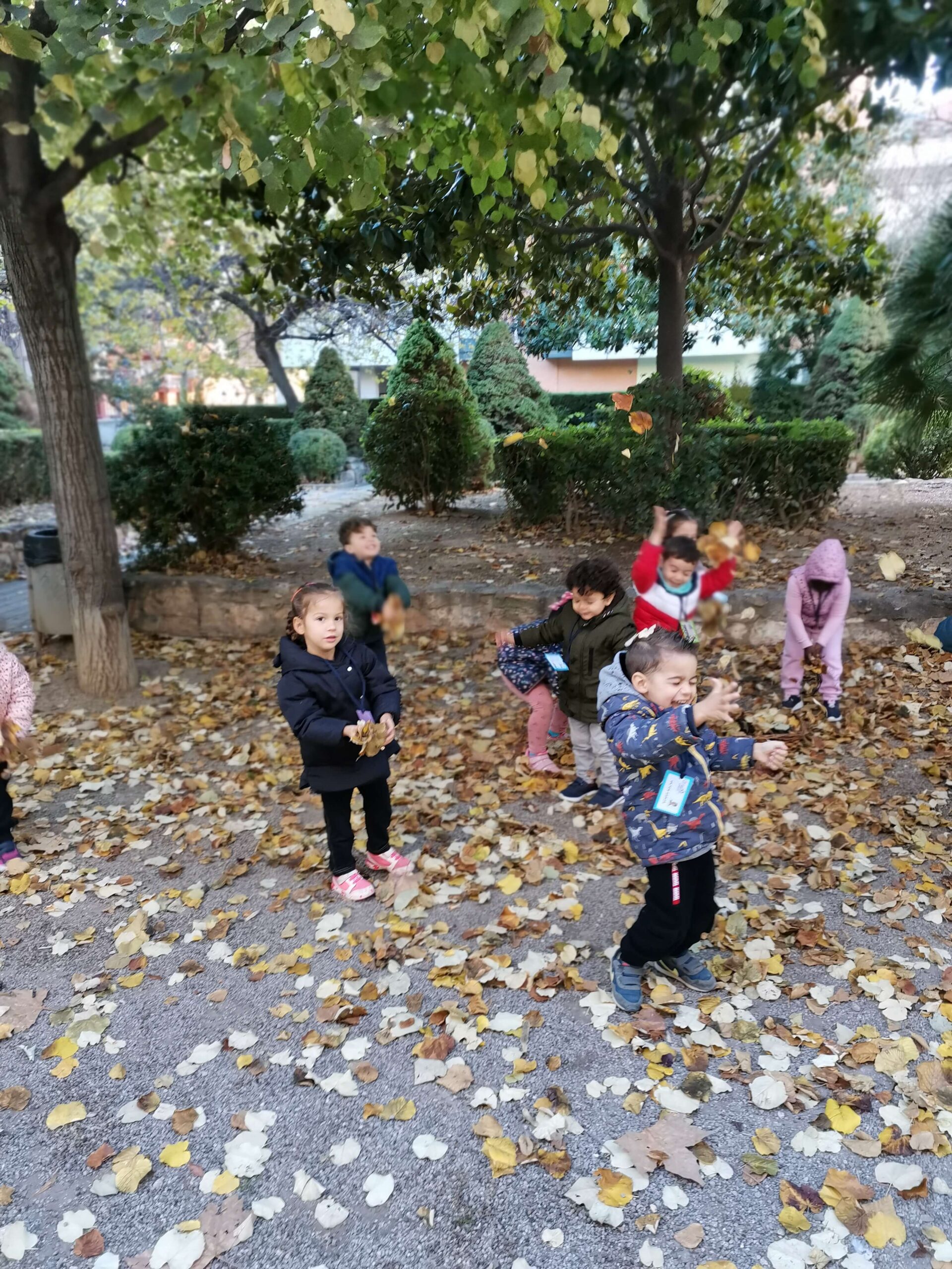 SORTIDA TARDOR P3A (5) (1)