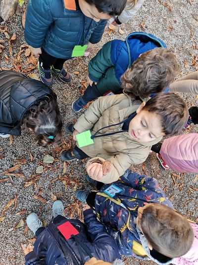 SORTIDA TARDOR P3A (8)_opt