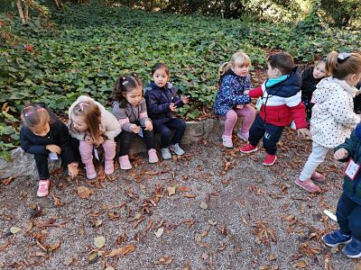 SORTIDA TARDOR P3A (9)_opt