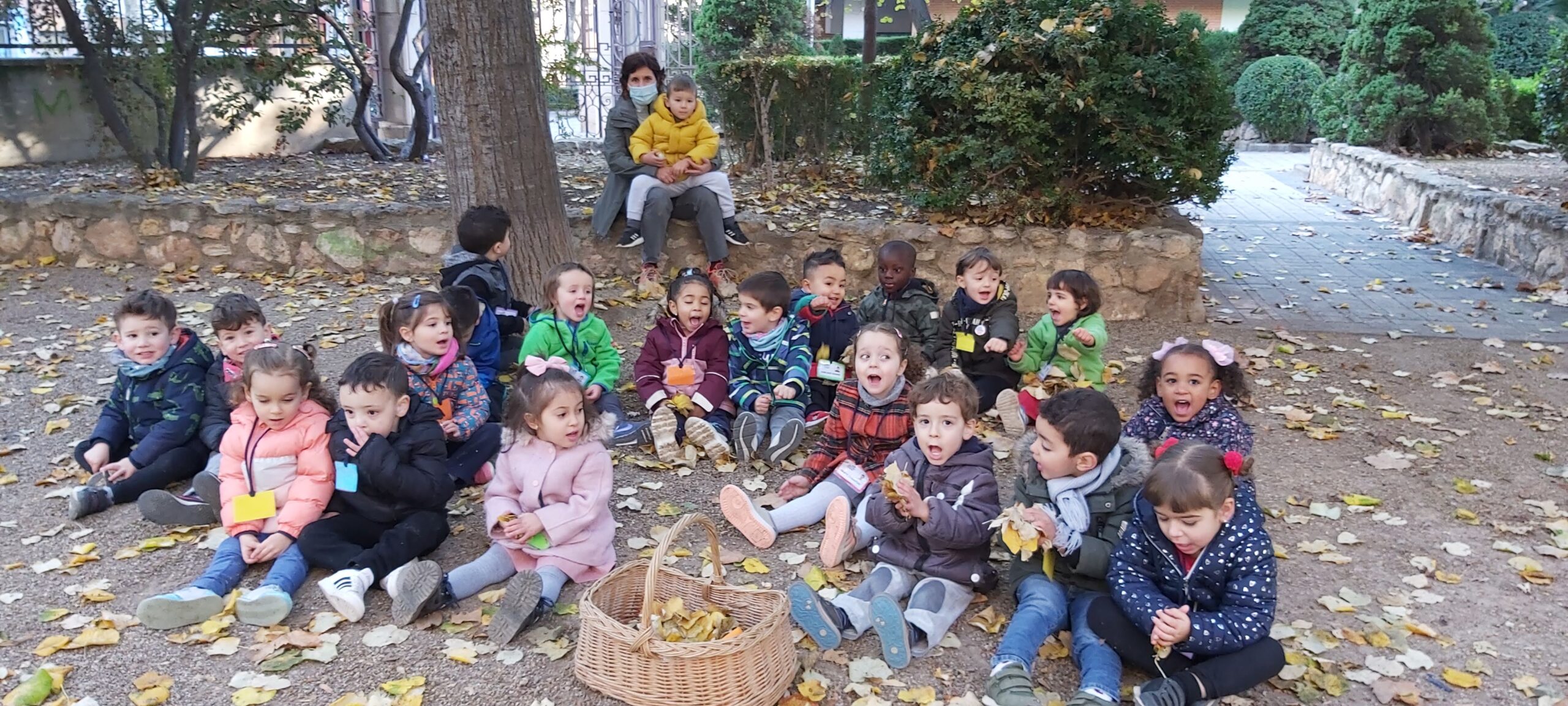 sortida tardor p3b (1)