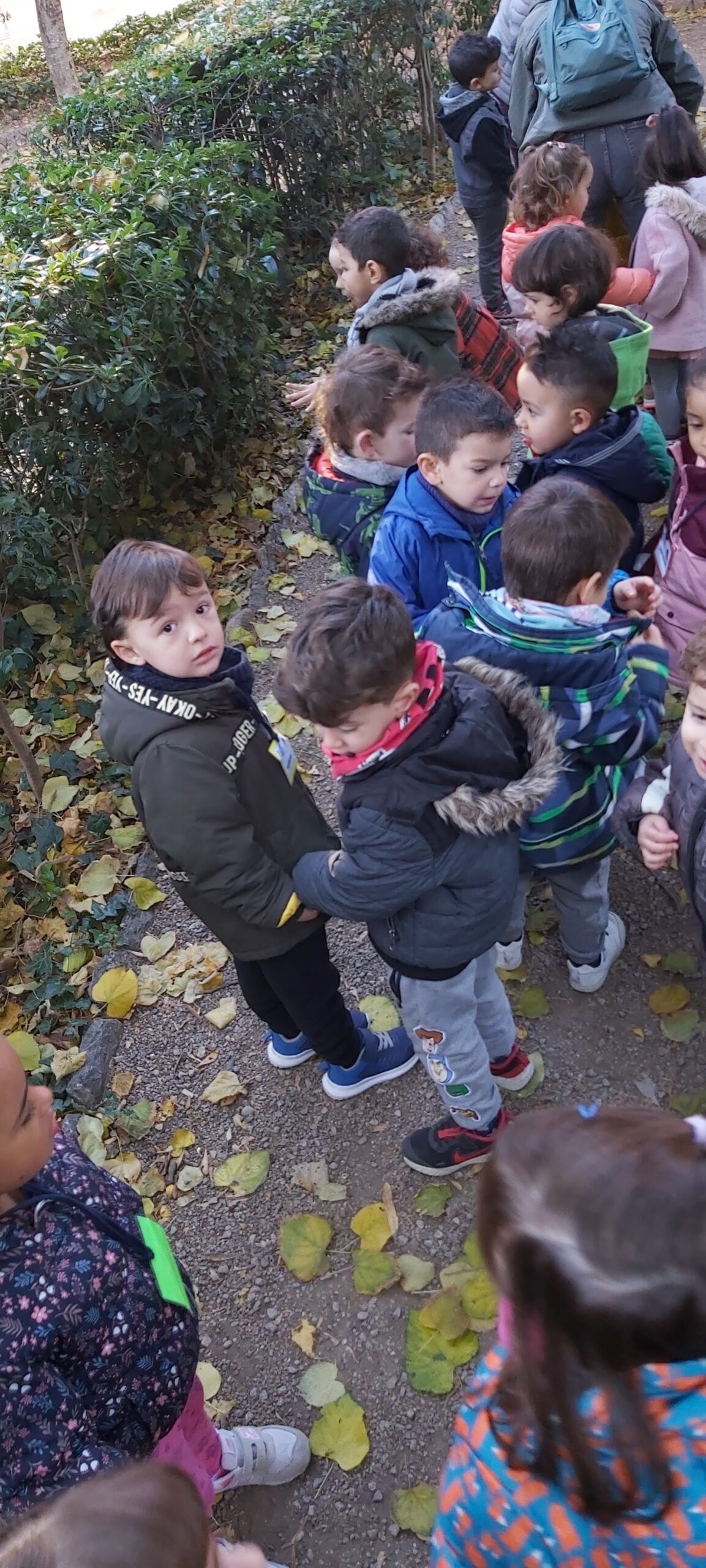 sortida tardor p3b (13)