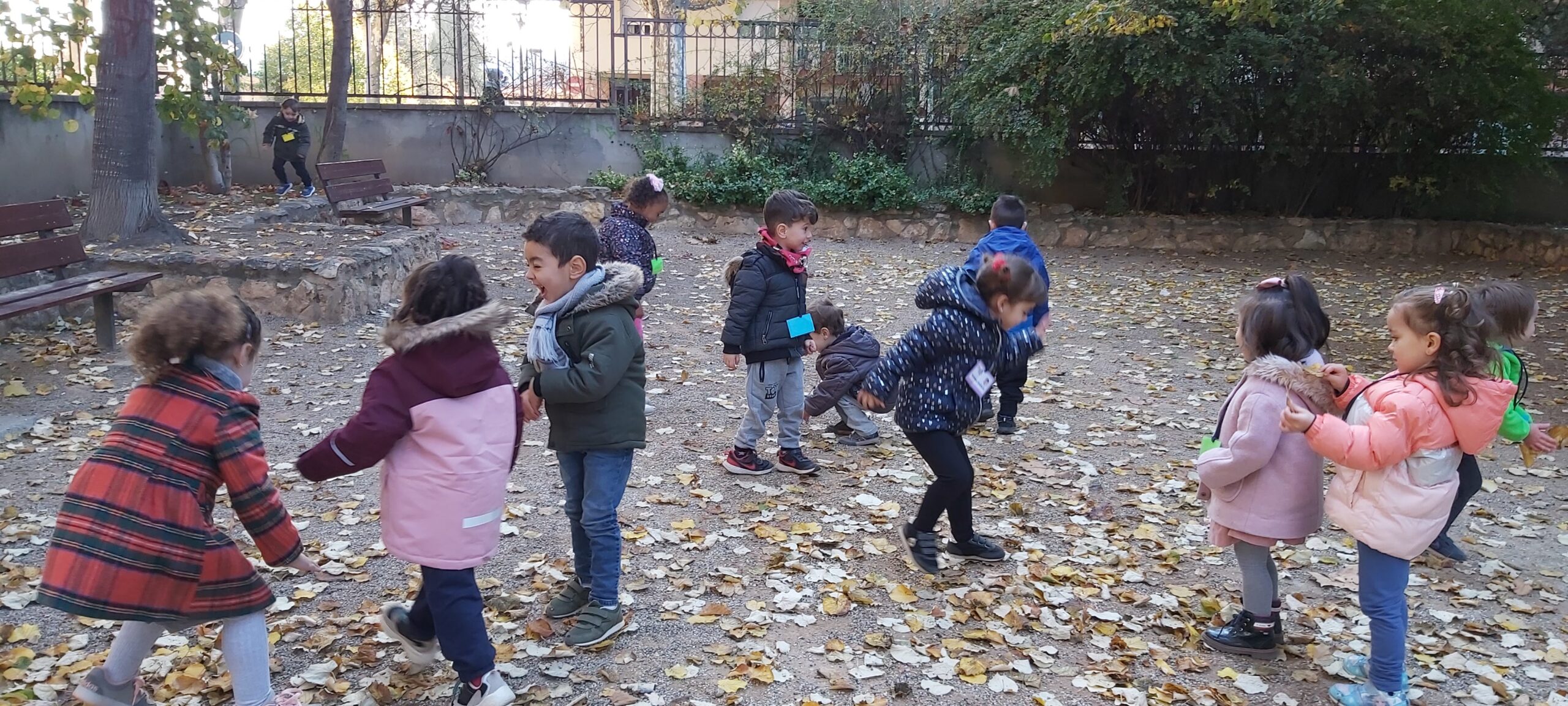 sortida tardor p3b (4)