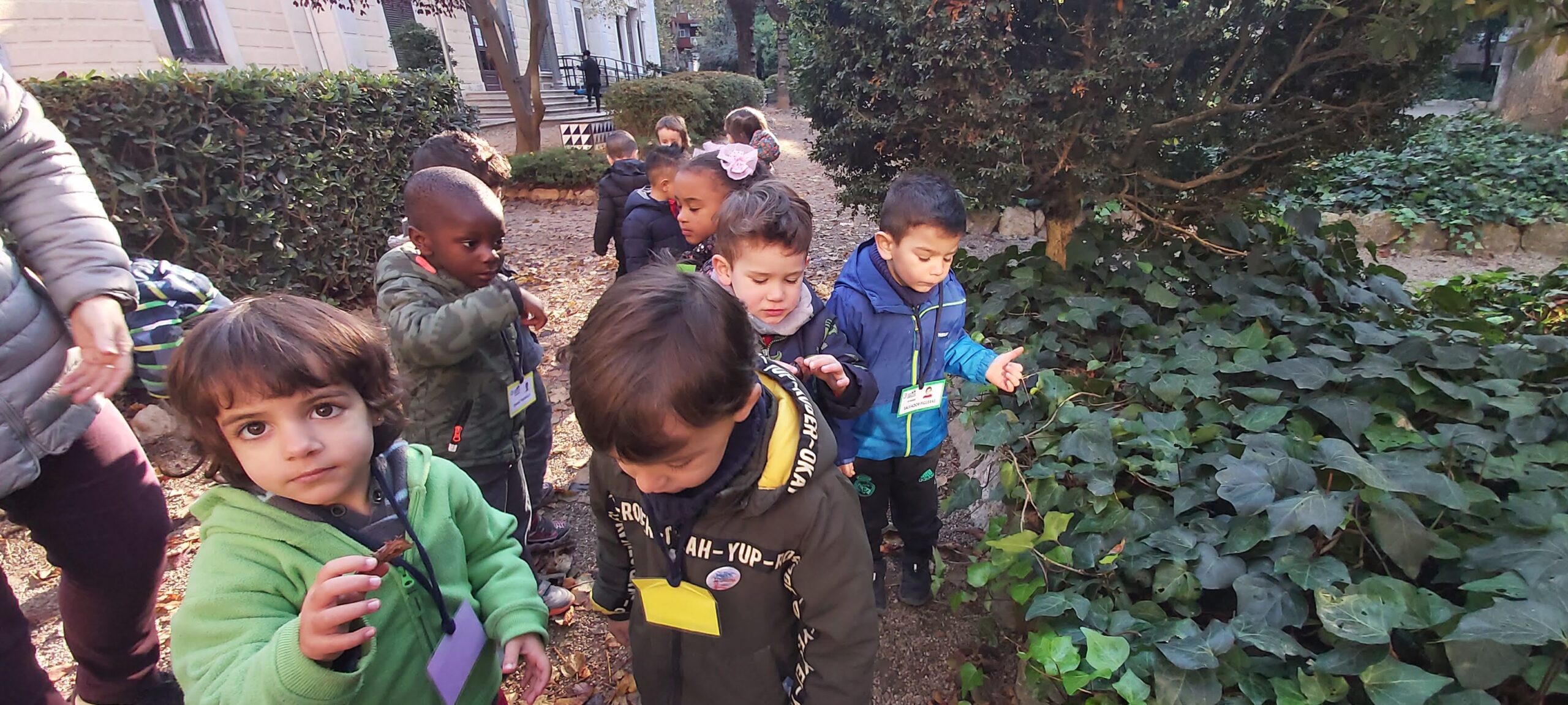 sortida tardor p3b (6)