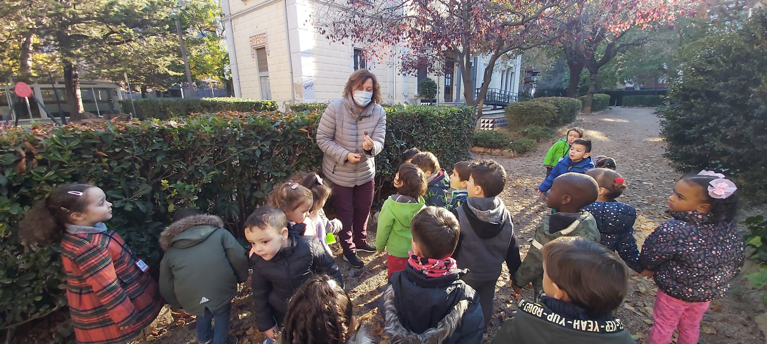 sortida tardor p3b (9)