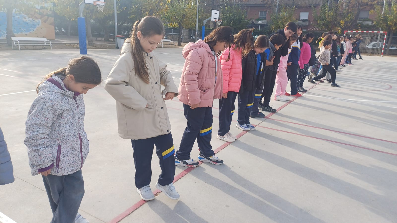 WhatsApp Image 2025-02-20 at 4.52.53 PM